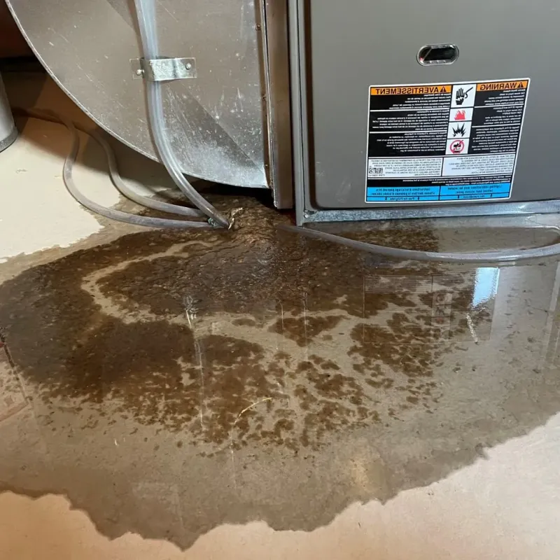 Pipe Burst and Leak Restoration in Sagadahoc County, ME